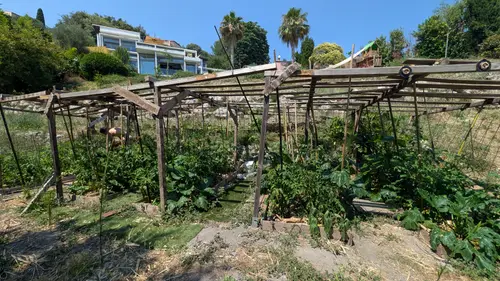 Potager