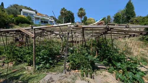 Potager
