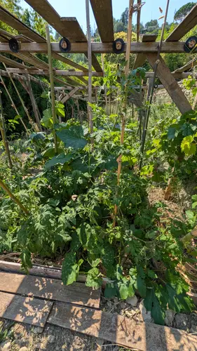 Potager